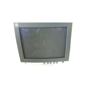 20 IN MONOCHROME MONITOR by GE Healthcare