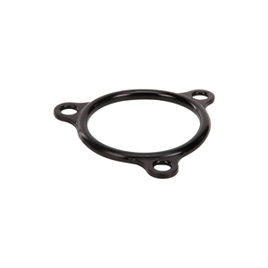 HEATER FLANGE SEAL by Champion Dishwasher