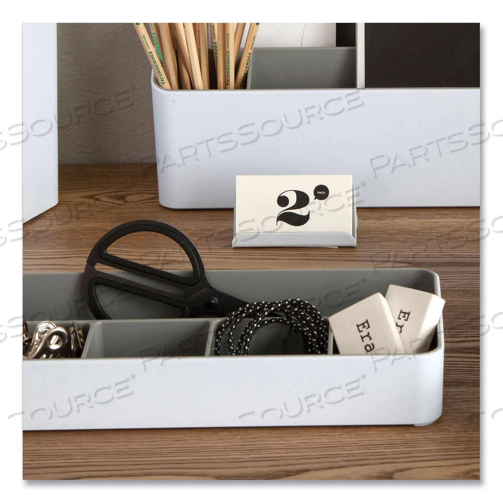 FUSION DOUBLE-SIDED BUSINESS CARD HOLDER, HOLDS 2.25 X 4 CARDS, POLYPROPYLENE, GRAY/WHITE by Advantus