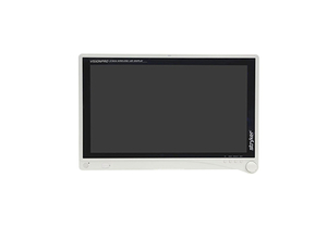 REPAIR SERVICE FOR STRYKER VISION PRO DISPLAY