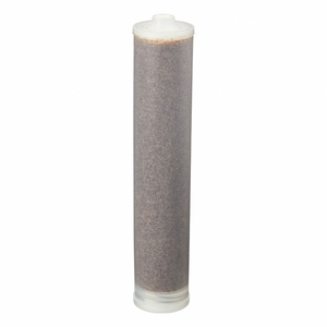 ION EXCHANGE CARTRIDGE by Thermo Scientific