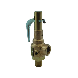 3/4 X 1IN MNPT X FNPT 100PSI BRONZE HIGH PRESSURE SAFETY RELIEF VALVE by Apollo Valves (a Conbraco Company)
