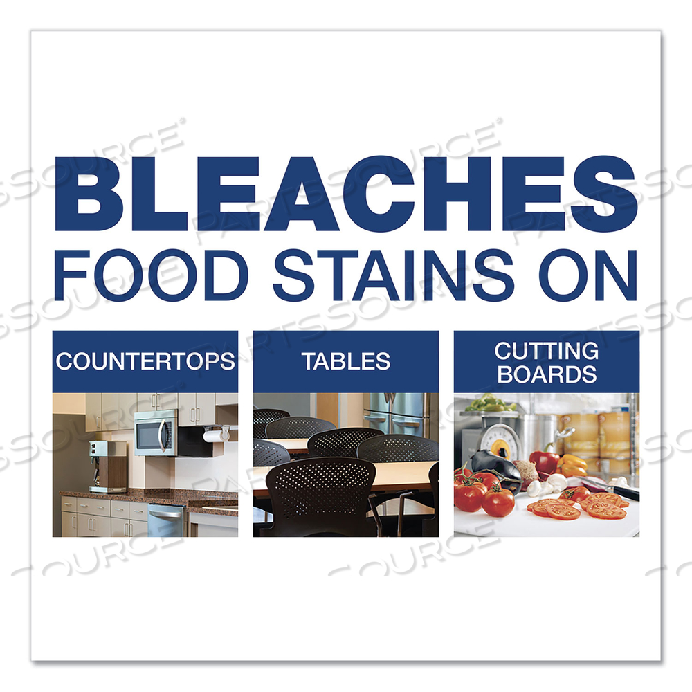 CLEANER WITH BLEACH, 32 OZ SPRAY BOTTLE 