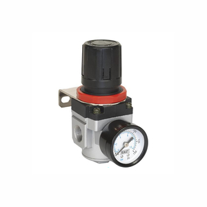 AIR REGULATOR by BC Group International, Inc. (BC Biomedical)