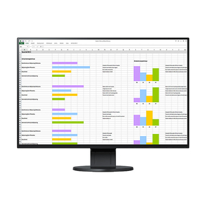 MONITOR, 24.1 IN by Eizo Inc.
