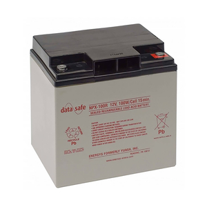 BATTERY, SEALED LEAD ACID, 12V, 28 AH, NUT & BOLT by ENERSYS