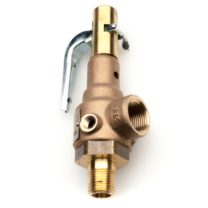 7 IN BRONZE SAFETY VALVE by STERIS Corporation