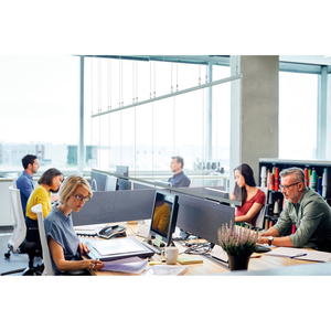 CEILING MOUNTED PERSONAL SAFETY PARTITION, 4'W X 7'H by Testrite Instrument Co. Inc.