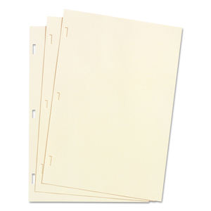LOOSELEAF MINUTE BOOK LEDGER SHEETS, 14 X 8.5, IVORY, LOOSE SHEET 100/BOX by Wilson Jones LOOSELEAF MINUTE BOOK LEDGER SHEETS, 14 X 8.5, IVORY, LOOSE SHEET 100/BOX by Wilson Jones