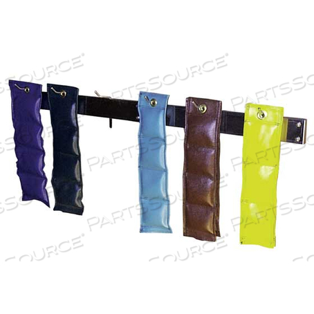 CUFF WEIGHT RACK, WALL MOUNT, STAINLESS, 12 HOOKS (2X WRS61) by Ideal Products