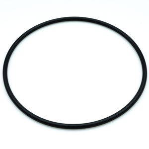EPDM O-RING by STERIS Corporation