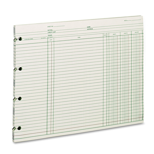 ACCOUNTING SHEETS, 9.25 X 11.88, GREEN, LOOSE SHEET by Wilson Jones ACCOUNTING SHEETS, 9.25 X 11.88, GREEN, LOOSE SHEET by Wilson Jones