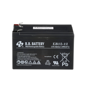 BATTERY, SEALED LEAD ACID, 12V, 12 AH, FASTON (F1) by Hillrom