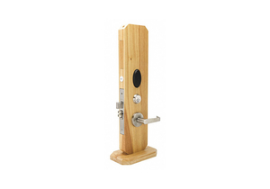 ELECTRONIC LOCK MORTISE 12 MBPS by Alarm Lock