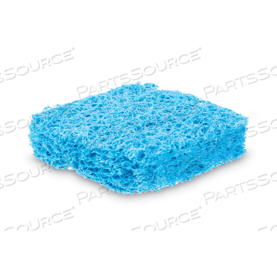 NON-SCRATCH SOAP SCRUBBERS, BLUE 