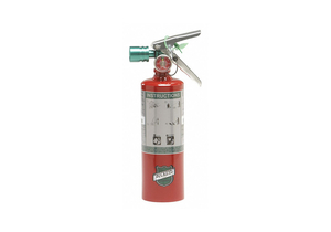 FIRE EXTINGUISHER 2B C 2.5LB. CLEANAGENT by Buckeye