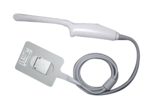 ICT/8-5 TRANSDUCER by Fujifilm Sonosite Inc