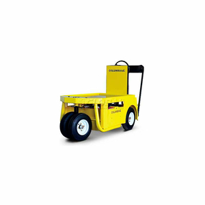 STOCK CHASER 4 WHEEL 24V NARROW AISLE BURDEN CARRIER by Columbia Parcar Corp.