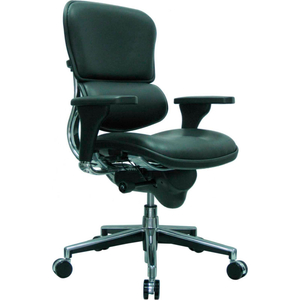 EUROTECH ERGOHUMAN MID BACK CHAIR - - BLACK LEATHER by Raynor Marketing