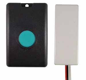 REMOTE CONTROL KEYFOB AND RECEIVER by Trilogy