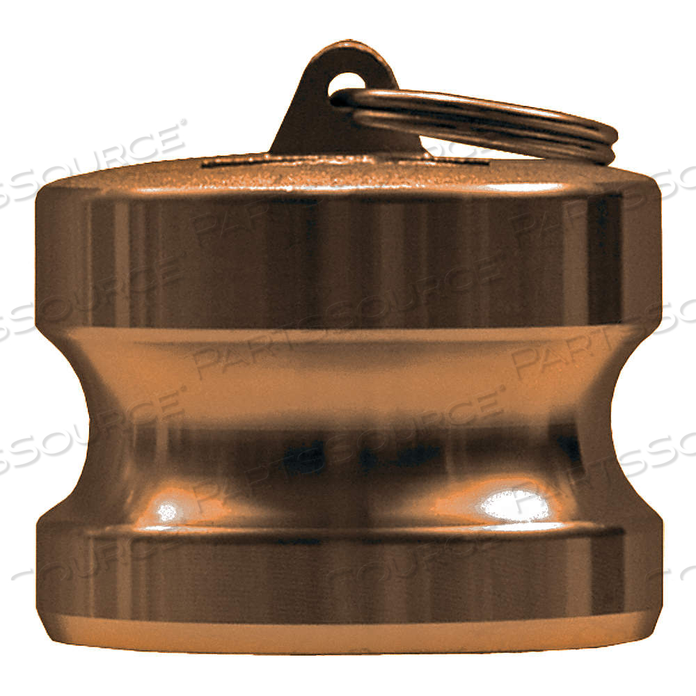 DUST PLUG TYPE DP FORGED BRASS 1-1/2 by Dixon Valve and Coupling