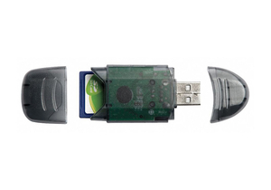 CARD READER W/FLASH 2GB MEMORY CARD by Dickson