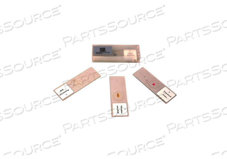 PLANT AND ANIMAL CELLS 5 PREPARED MICROSCOPE SLIDES SPECIMEN SET by View Solutions Inc.(formerly BoliOptics)
