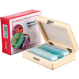 AMSCOPE 25 PC. GLASS PREPARED MICROSCOPE SLIDES WITH WOODEN BOX by United Scope