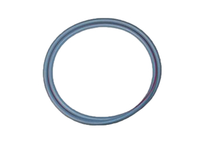 BLUE DOOR GASKET by Getinge USA Sales, LLC