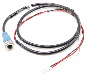 3' UV SCANNER, 3/8"NPT by Fireye