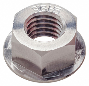 FLANGE NUT SS 3/8 -16 DIA./THREAD SIZE by AMPG