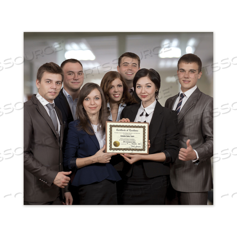 READY-TO-USE CERTIFICATES, EXCELLENCE, 11 X 8.5, IVORY/BROWN/GOLD COLORS WITH BROWN BORDER by Great Papers