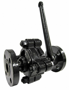 GATE VALVE 2 IN. FLANGE CARBON STEEL by United Brass Works