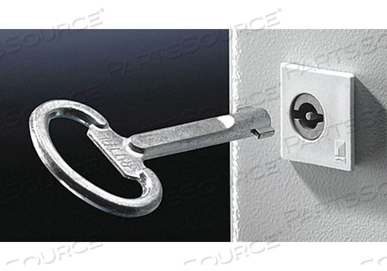 ENCLOSURE KEY DOUBLE-BIT NO 5 MATTE by Rittal