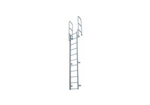 FIXED LADDER WLKTHRU 15 FT 8 IN H STEEL by Cotterman