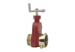 SINGLE HYDRANT GATE VALVE BR 2.5 MXFNST by Dixon Valve and Coupling