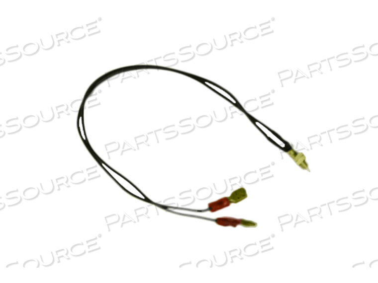 PARK SWITCH FOR OLD TYPE LOCK LATCH ASM, 2 LEADS WITH TERMINAL CONNECTIONS PARK SWITCH FOR OLD TYPE LOCK LATCH ASM, 2 LEADS WITH TERMINAL CONNECTIONS