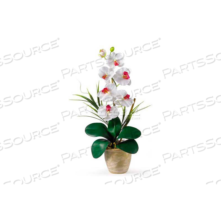 PHALAENOPSIS SILK ORCHID FLOWER ARRANGEMENT, WHITE 