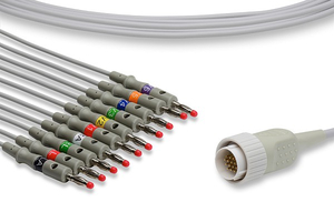 COMPATIBLE 10 LEAD ECG CABLE by Cardioline Inc.