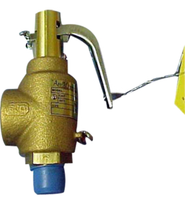 SAFETY VALVE, 1/2 IN NPT, 100 PSI by Reimers