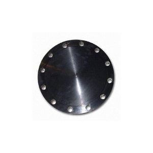 BLIND FLANGE CARBON STEEL 10 NPS by Guardianmade