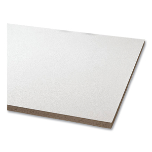 CLEAN ROOM VL CEILING TILES, NON-DIRECTIONAL, SQUARE LAY-IN (0.94" OR 1.5"), 24" X 48" X 0.63", WHITE, 8/CARTON by Armstrong