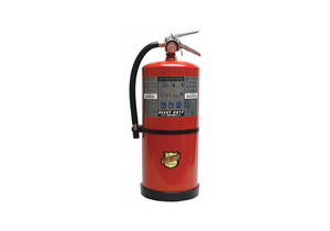FIRE EXTINGUISHER ABC 20 LB. 21-1/4 IN.H by Buckeye