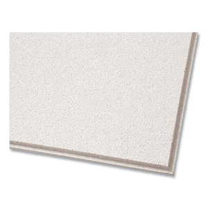 DUNE SECOND LOOK CEILING TILES, DIRECTIONAL, ANGLED TEGULAR (0.94"), 24" X 48" X 0.75", WHITE, 10/CARTON by Armstrong