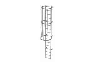 FIXED LADDER W/ SAFETY CAGE STEEL 15 FT. by Tri-Arc FIXED LADDER W/ SAFETY CAGE STEEL 15 FT. by Tri-Arc