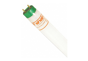 FLUORESCENT LAMP T8 28W 4100K SHTR RSTNT by Shat-R-Shield