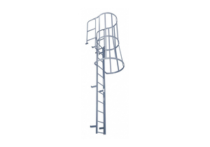 FIXED LADDER W/SAFETY CAGE 11 FT H. by Cotterman