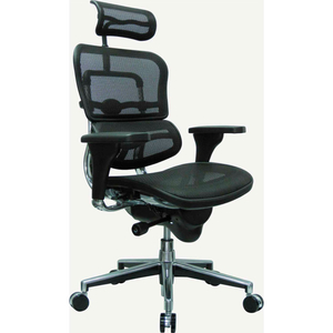 EUROTECH MESH MANAGERS CHAIR - HIGH BACK - BLACK - ERGOHUMAN SERIES by Raynor Marketing