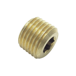 INTERNAL HEX HEAD PLUG 3/8 IN L by Legris