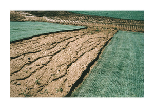 EROSION CONTROL BLANKET 8 X 112.5 FT. by DeWitt